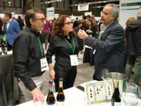 Nueve bodegas canarias participan, de la mano de Proexca, en el Salón de los Mejores Vinos de España