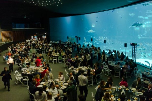 La Gran Gala del Día de los Océanos de Poema del Mar reúne, un año, más a las personalidades más destacadas de Canarias