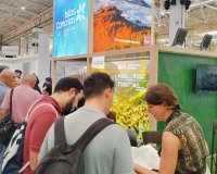 Turismo refuerza su promoci&oacute;n en el mercado peninsular que cuenta con 2,4 millones de plazas en invierno