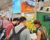 Turismo refuerza su promoci&oacute;n en el mercado peninsular que cuenta con 2,4 millones de plazas en invierno