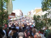 Gu&iacute;a: Miles de personas fueron fieles un a&ntilde;o m&aacute;s a la cita con la Fiesta del Queso de Monta&ntilde;a Alta 2026