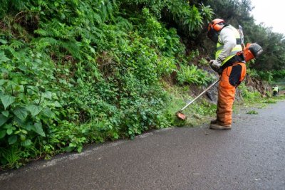 La Gomera: El Cabildo ejecuta una treintena de actuaciones de conservaci&oacute;n en las v&iacute;as insulares