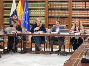 Sanidad ampl&iacute;a en dos a&ntilde;os la oferta de servicios de atenci&oacute;n domiciliaria para distintas patolog&iacute;as