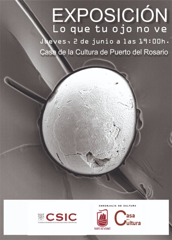 La Casa de la Cultura de Puerto del Rosario acoge la exposición nacional ‘Lo que tu ojo no ve’