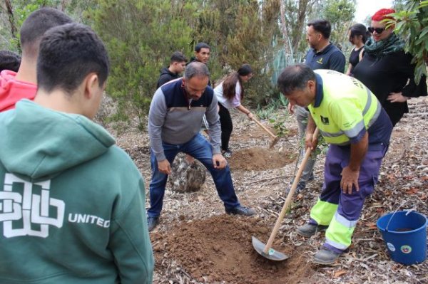 La Villa de Moya celebra el Día Mundial del Medioambiente con talleres y actividades para los jóvenes