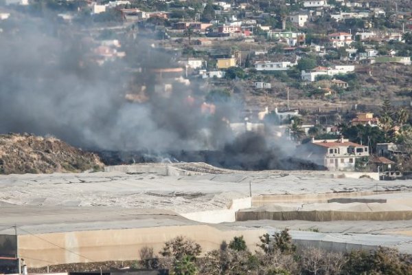 El Gobierno canario amplía el plazo de justificación de las subvenciones al sector afectado por el volcán