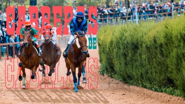 El espectáculo de las carreras de caballos regresa este domingo al hipódromo de La Laguna de Valleseco