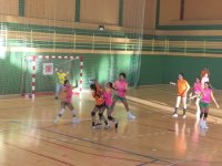 Balonmano Femenino: Actualidad del fin de semana del Gabafe G&aacute;ldar
