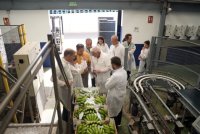 El mayorista alemán Keuthmann visita a varios productores de fruta canaria