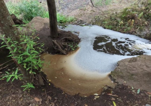Villa de Firgas: Silencio absoluto tras un año del grave vertido de productos químicos en el cauce del Barranco de Las Madres/Azuaje