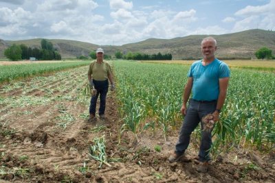UPA reivindica la sostenibilidad de la agricultura familiar frente a modelos &ldquo;industriales y especulativos&rdquo;