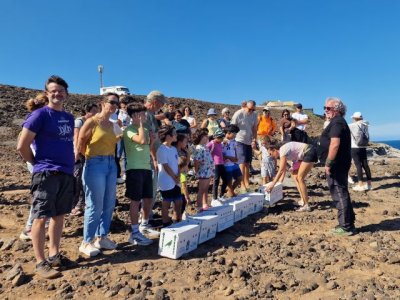 Multitudinaria suelta de pardelas en la Costa de Arucas