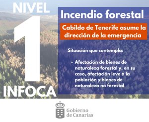 El incendio forestal de Tenerife baja a nivel 1 del INFOCA y el Cabildo de Tenerife asume la dirección