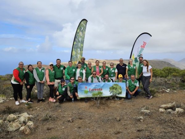 Foresta inicia su campa&ntilde;a de reforestaci&oacute;n de la mano de empresas canarias para recuperar la masa forestal del Archipi&eacute;lago