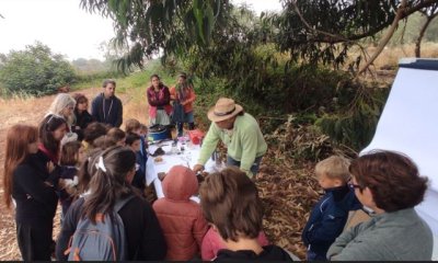 Gu&iacute;a: &Uacute;ltimas plazas para el curso de introducci&oacute;n a la cata de mieles en el Aula de la Naturaleza de Verdejo