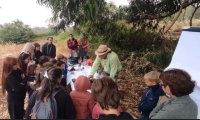 Gu&iacute;a: &Uacute;ltimas plazas para el curso de introducci&oacute;n a la cata de mieles en el Aula de la Naturaleza de Verdejo