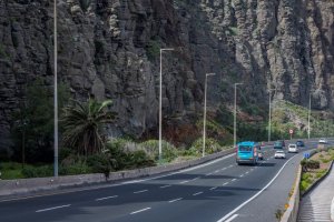 El Cabildo crea un Jard&iacute;n Canario en el entorno de La Laja con una intervenci&oacute;n paisaj&iacute;stica