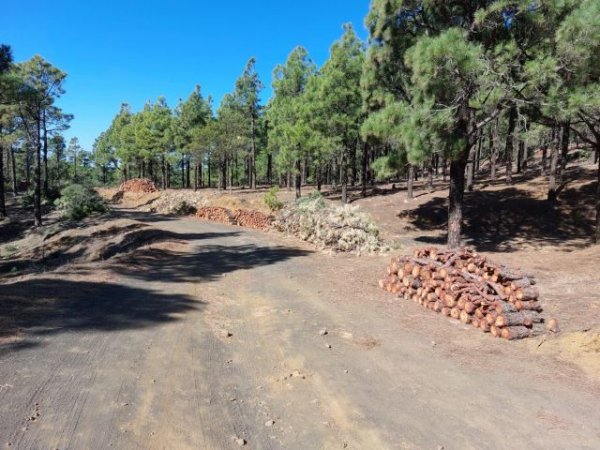 Transición Ecológica destina 320.000 euros a la prevención de incendios en El Hierro