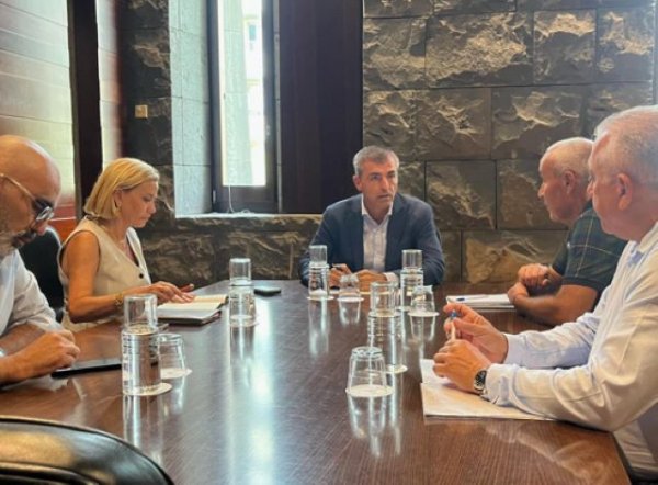 Manuel Domínguez aborda con el sector del taxi la problemática de las licencias de VTC en Canarias