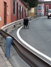 Denuncias: Peligro, peatones y PMR en Tafira Baja