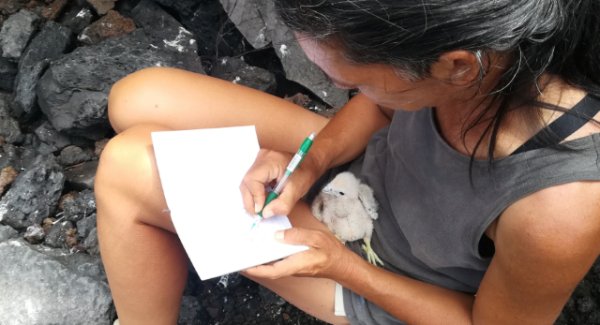 Las iniciativas sostenibles difundidas por Turismo logran más de 4 millones de visualizaciones completas