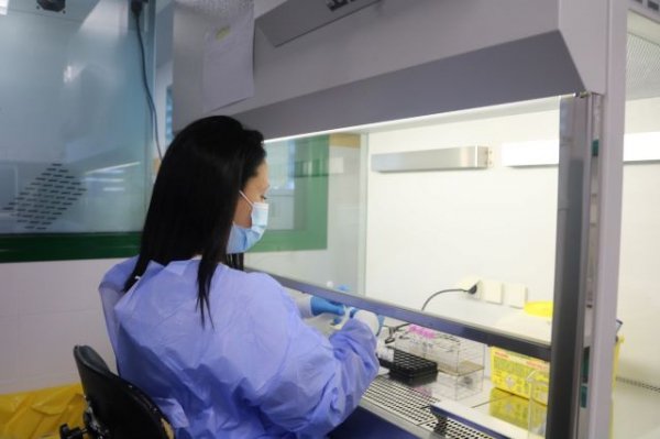 Sanidad constata tres casos confirmados y nueve en estudio de viruela del mono desde el viernes