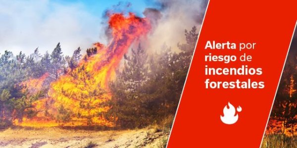 El Gobierno de Canarias declara la situación de alerta por riesgo de incendios forestales