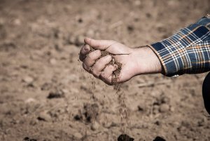 Situación agónica en el campo español por la sequía