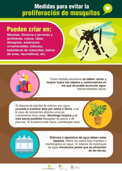 Sanidad activa el protocolo ante detección de un ejemplar de mosquito Aedes albopictus en una vivienda en Tenerife