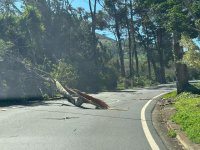 El alcalde de Firgas agradece a todas las personas que trabajaron para minimizar los daños de la alerta por viento