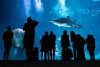 Poema del Mar obtiene el premio Tripadvisor Traveller's Choice Awards 2025 por cuarto a&ntilde;o consecutivo