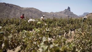 La Reserva de la Biosfera actualiza su Plan de Acción hasta 2025 con la población local, colectivos y municipios como eje fundamental