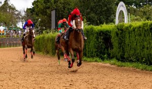 Domingo de Carreras de Caballos en el corazón de Gran Canaria