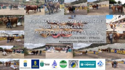 Teror celebra el viernes una noche de tradiciones con los Finados y Concurso de Arrastre de Ganado