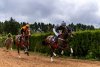 Final de la III Copa de H&iacute;pica San Vicente Ferrer de Valleseco