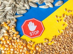 Polonia y Ucrania est&aacute;n discutiendo sobre el grano una vez m&aacute;s