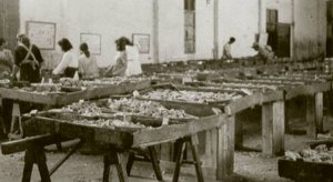 La Gomera: El Cabildo homenajea a las mujeres de los pescadores con motivo del D&iacute;a de la Mujer Rural (V&iacute;deo)