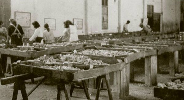 La Gomera: El Cabildo homenajea a las mujeres de los pescadores con motivo del Día de la Mujer Rural (Vídeo)