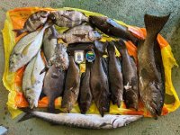 Inspecci&oacute;n Pesquera incauta 55 kilos de pescado capturado en la zona protegida de la reserva marina de El Hierro