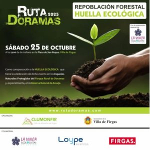 Repoblaci&oacute;n forestal en la Monta&ntilde;a de Firgas con motivo de la Huella Ecol&oacute;gica de la Ruta Doramas