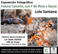 Villa de Firgas: La Exposici&oacute;n Fotogr&aacute;fica &ldquo;Futuro canario, con F de flora y fauna&rdquo;, de Lola Santana, se mostrar&aacute; en La Casa Verde