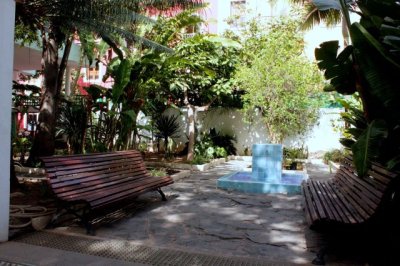 El patio de la Casa-Museo Antonio Padr&oacute;n de G&aacute;ldar ser&aacute; el &lsquo;Jard&iacute;n Continental&rsquo; para ni&ntilde;os y ni&ntilde;as a partir de 8 a&ntilde;os