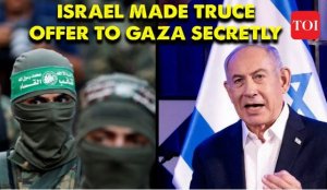 Art&iacute;culo de opini&oacute;n: 'Tras fracasar militarmente, Israel propone un acuerdo de tregua desventajoso'