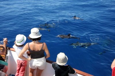 La Gomera cierra una temporada de invierno histórica con más gasto turístico y el 95% de ocupación