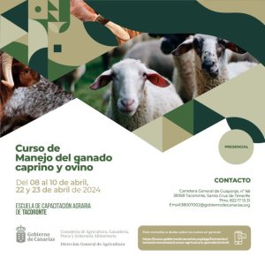 La ECA de Tacoronte oferta un curso sobre manejo del ganado caprino y ovino