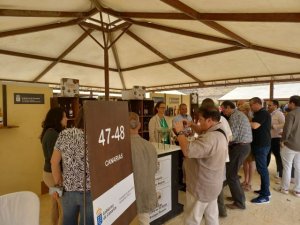 Siete bodegas de Canarias exponen sus vinos en la Feria Vinoble de Jerez de la Frontera