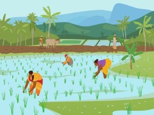 No condene a India por poner a su gente primero al restringir temporalmente algunas exportaciones de arroz