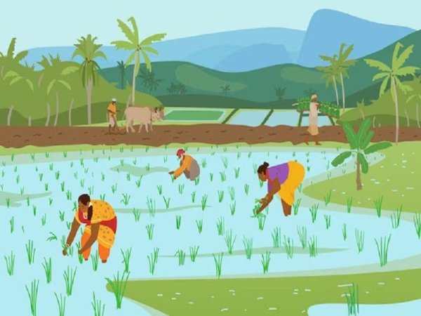 No condene a India por poner a su gente primero al restringir temporalmente algunas exportaciones de arroz