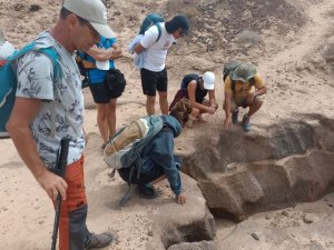 Canarias logra m&aacute;s de 500 reportes en la marat&oacute;n internacional de detecci&oacute;n de especies invasoras