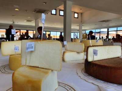 La Gomera acoge la celebraci&oacute;n del Concurso Oficial de Quesos Agrocanarias 2023